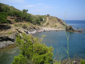 Meer